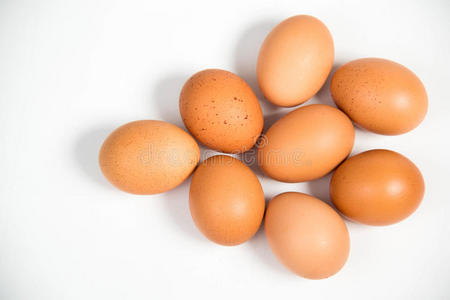 动物 蛋壳 蛋白质 食物 农场 复活节 生活 母鸡 鸡蛋