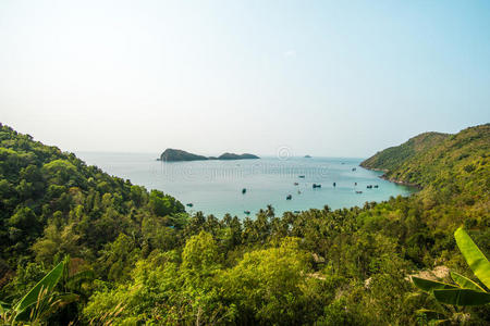 气候 南渡 风景 城市景观 海湾 椰子 云景 连接 保护