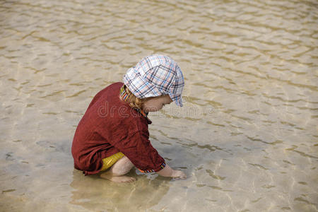 在热带海滩收集贝壳的孩子