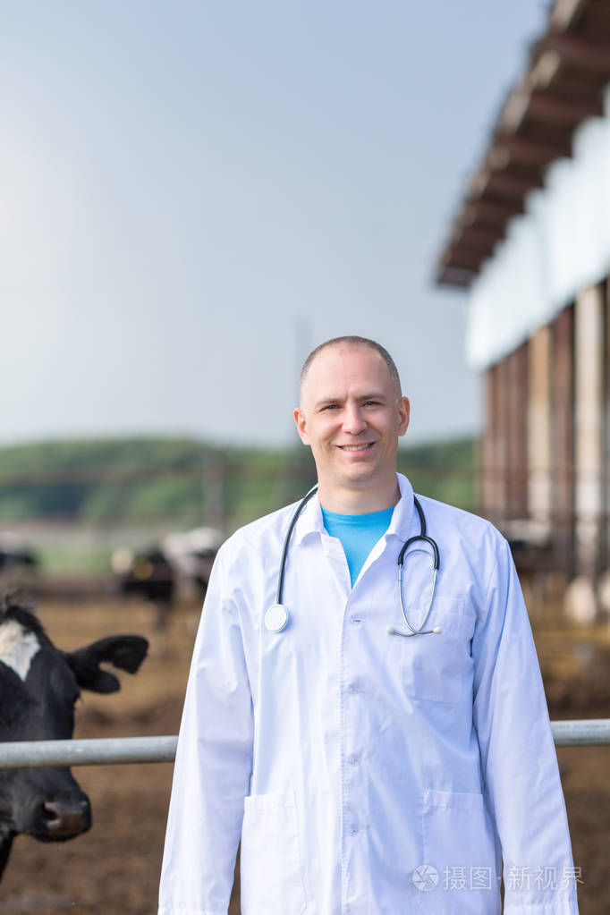 对农场奶牛兽医