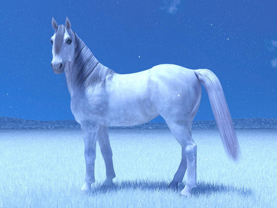 3d cg 渲染的一匹白马照片