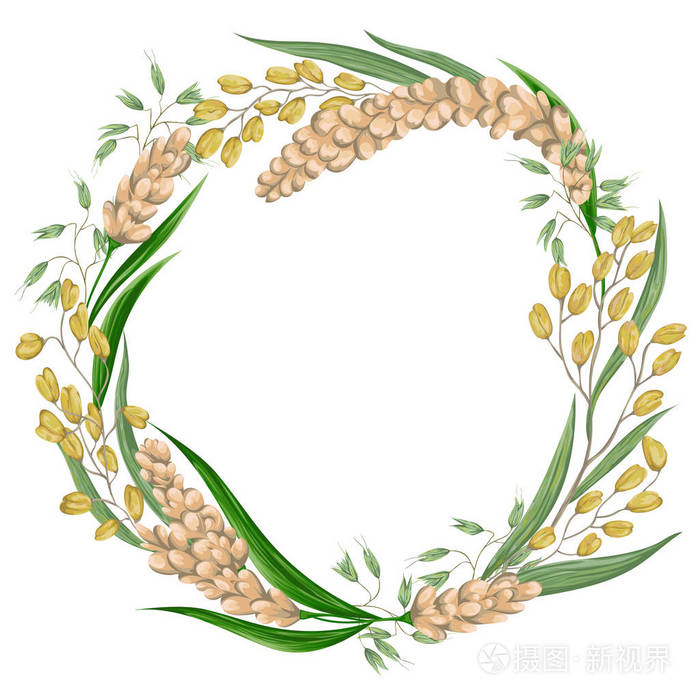 谷物的设置.集合装饰花艺设计元素.在水彩风格复古矢量图
