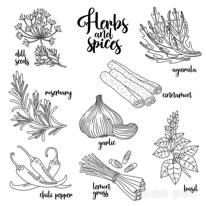 在白色轮廓插画-正版商用图片1r51ch-摄图新视界