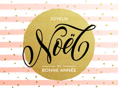 法国圣诞快乐,新年文本 bonne 安妮快活人诺埃尔照片