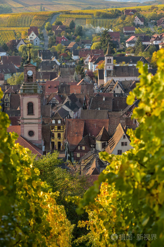 葡萄园,riquewhir,法国阿尔萨斯村庄