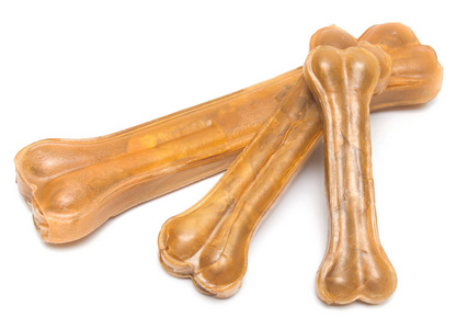 咀嚼骨咀嚼的狗骨头照片