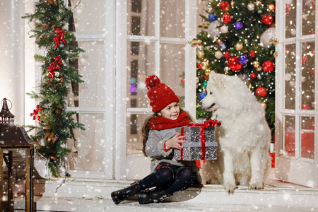 大白拥抱漂亮的小女孩在圣诞应力中拥抱一只大白狗照片
