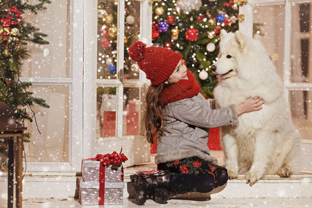 大白拥抱漂亮的小女孩在圣诞应力中拥抱一只大白狗照片