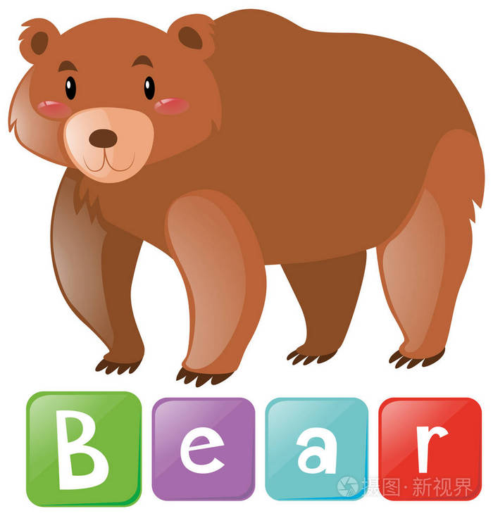 单词卡片了棕色的熊