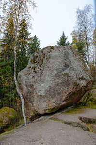 巨石和薄桦木悬崖顶图片