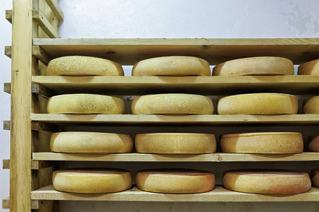 成熟的酒窖乳品弗兰奇·康特老化奶酪的车轮照片