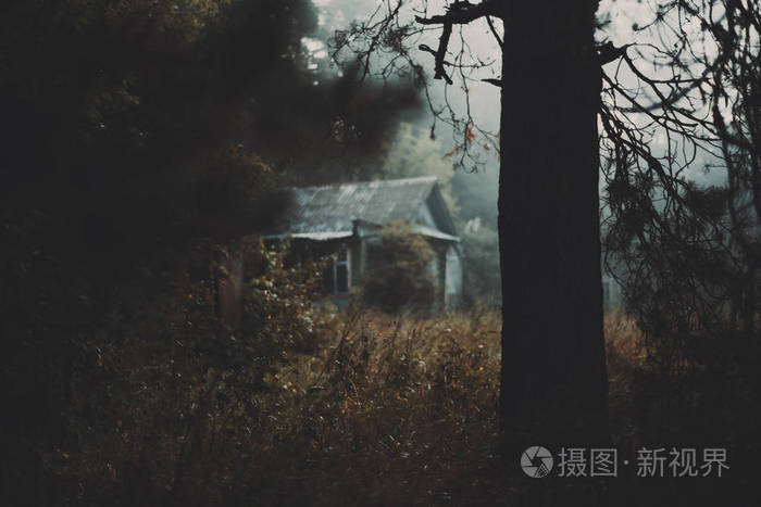 清晨黑暗的雾蒙蒙的早晨与树和村庄的房子
