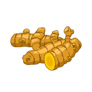 姜黄植物图片-姜黄植物素材-姜黄植物插画-摄图新视界