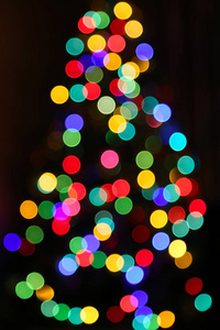 不专心的五光十色的圣诞树图片