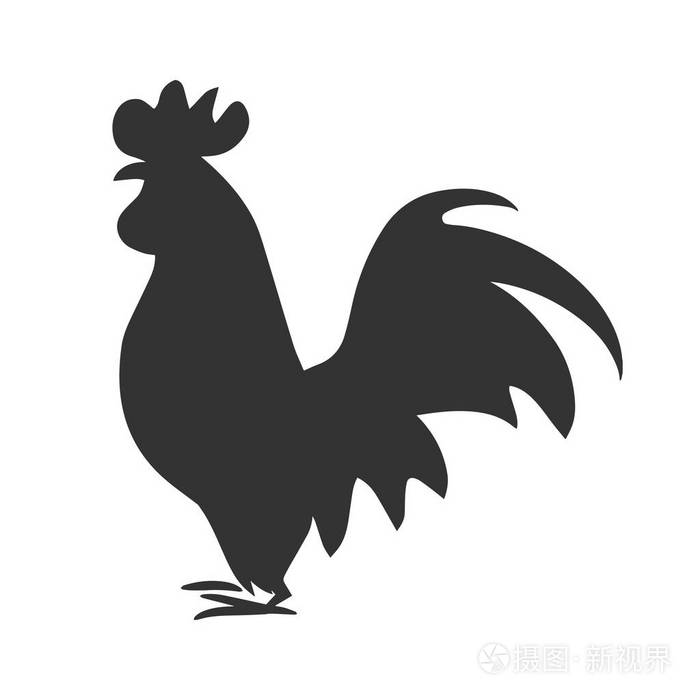 公鸡剪影孤立的黑色和白色.象征着新的一年