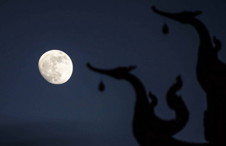 与泰国天鹅雕塑的大月亮图片