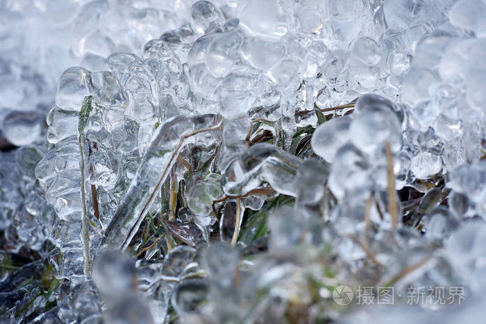 冷冻植物上的抽象冰晶