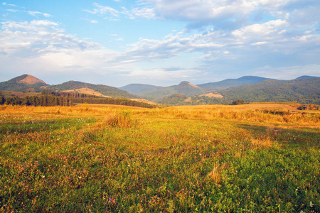 景观的大片的农田和背景山脉图片