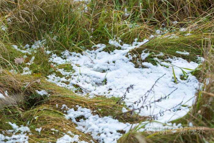 春季或秋季在草地上的雪
