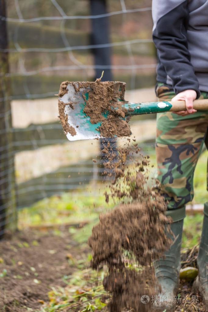 男人用铁锹在花园里挖