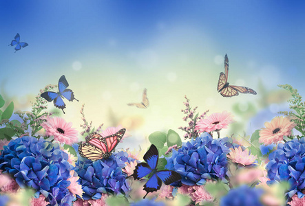 蝴蝶和散景图片