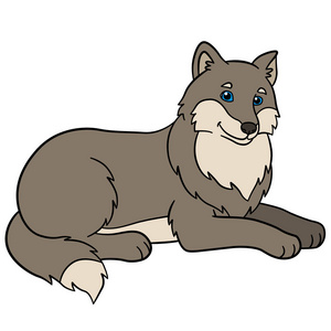 卡通动物.美丽可爱的狼照片