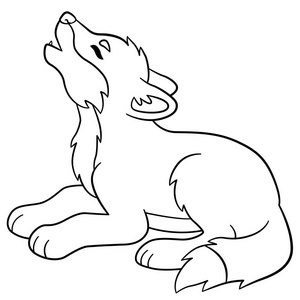 小小的可爱的小宝贝狼的嚎叫声照片