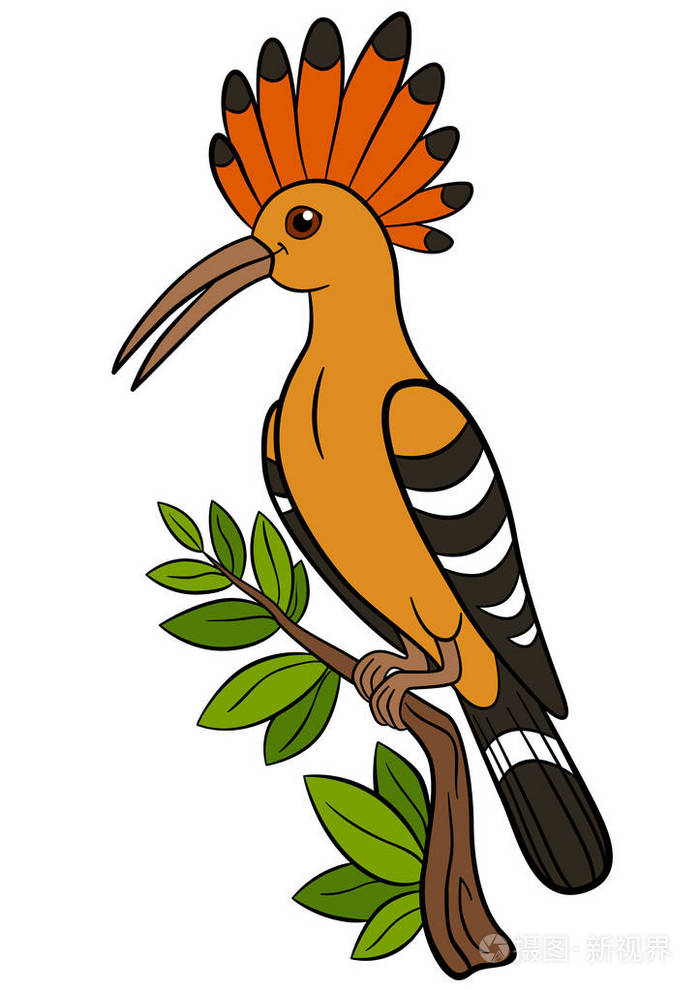 卡通鸟.在树枝上的可爱美丽戴胜