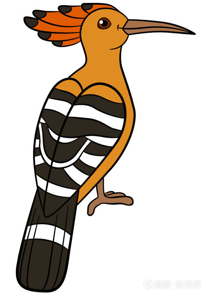 卡通鸟可爱的美丽戴胜