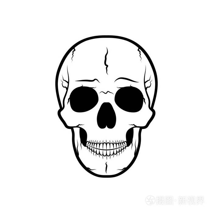 人类的头颅骨矢量图