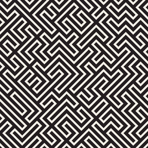 不规则的迷乱线条.矢量无缝黑色和白色花纹照片