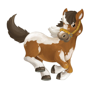 马动漫画马是跑, 跳, 微笑和看照片