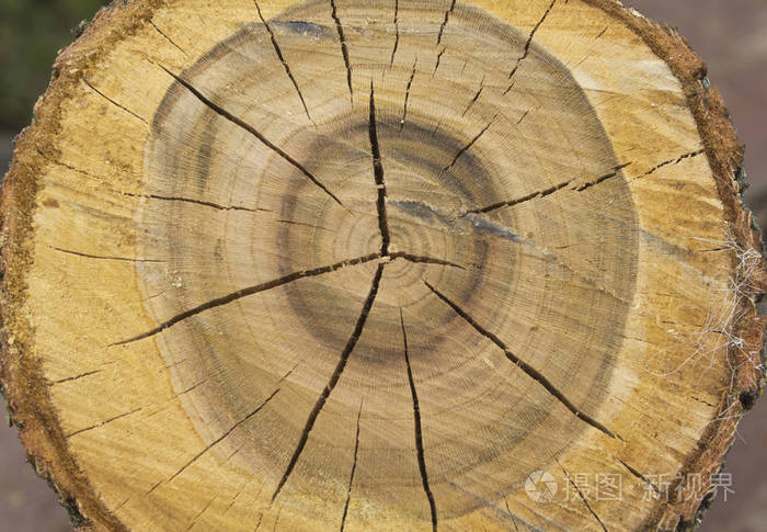 年度戒指径向裂纹