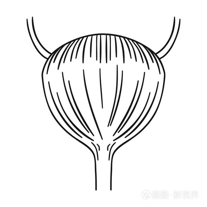 人类膀胱图标在白色背景上孤立的轮廓样式人体器官符号股票矢量图