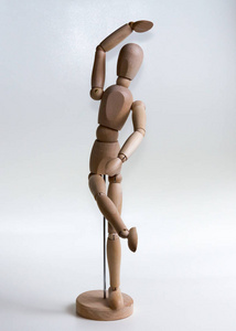 在白色背景上的人体模型照片