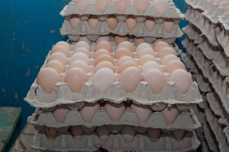 工厂生产的鸡蛋和鸡图片