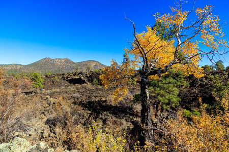 日落火山口火山图片