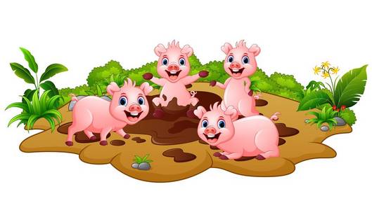 泥猪图片