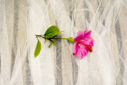 美丽的花在白色布料在婚礼天图片