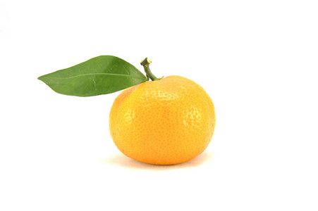 palpinka在白色背景上的橘子关闭照片