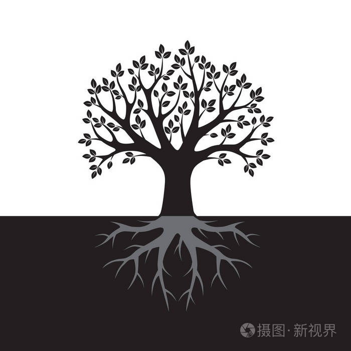 红黑树和根矢量图