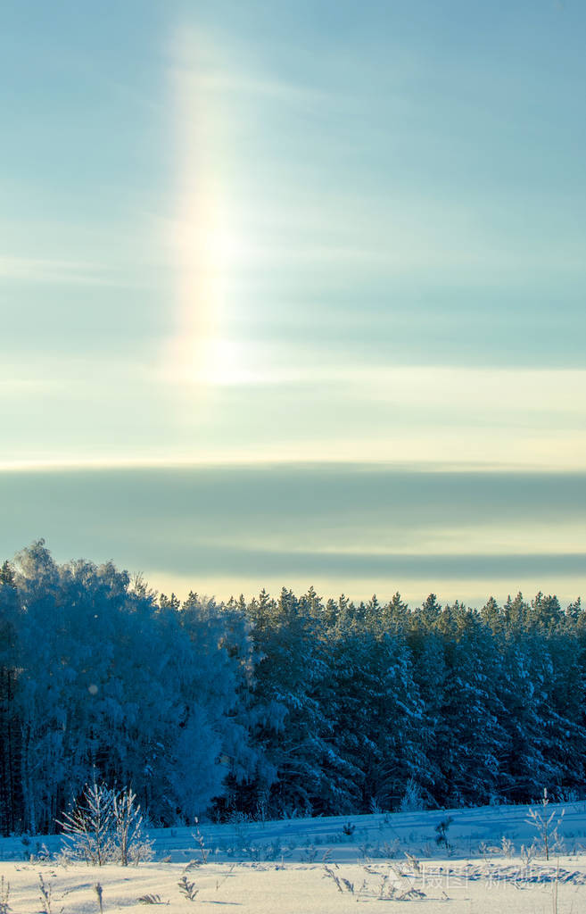 冬季景观树上的霜冻水的雾蒸发蓝天晴天不透明的空气中充满了阳光的