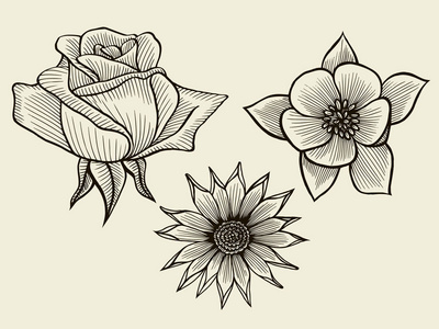 手绘素描花朵图片
