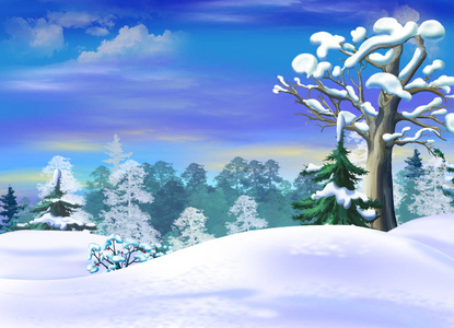 在冬季森林的一块空地的雪堆照片