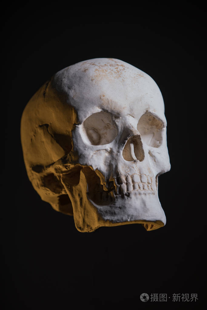 在黑色的人类头骨