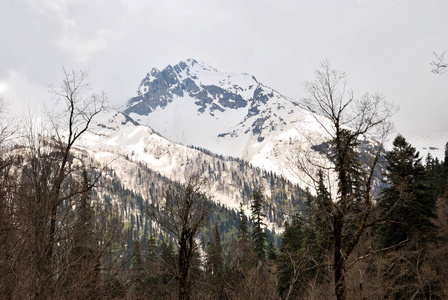 雪山山脉的全景视图图片