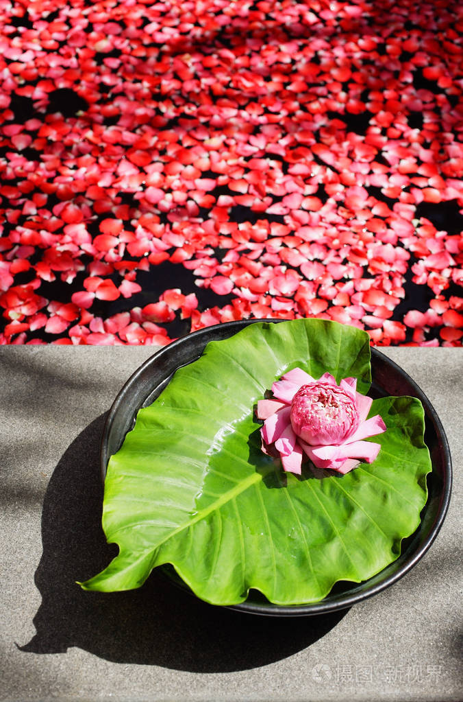 漂浮在水面上的花