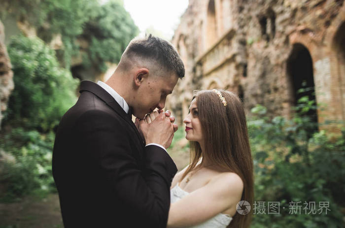 性感的已婚的夫妇拥抱旧斯拉夫城堡前的情人节礼物