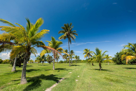古巴在炎热的夏天阳光灿烂的日子.