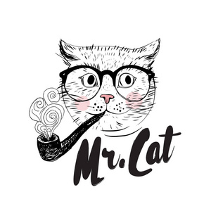 戴眼镜的猫图片